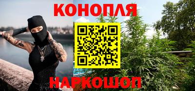 крисы Севастополь