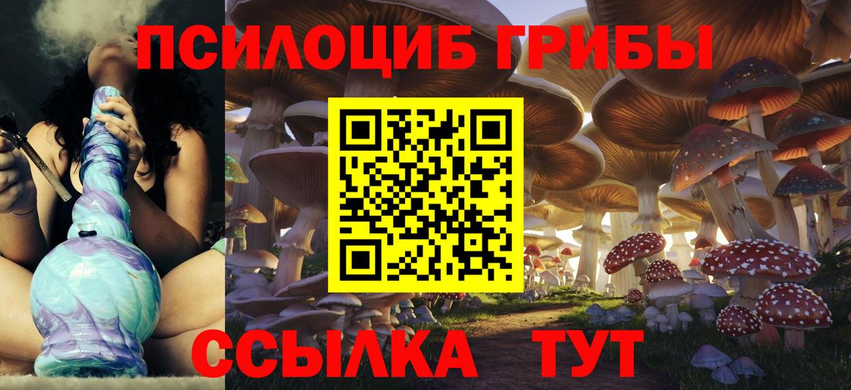 Псилоцибиновые грибы Cubensis Орехово-Зуево