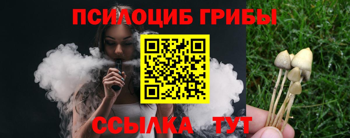 Орехово-Зуево  Псилоцибиновые грибы мицелий  где можно купить   Вход с VPN 